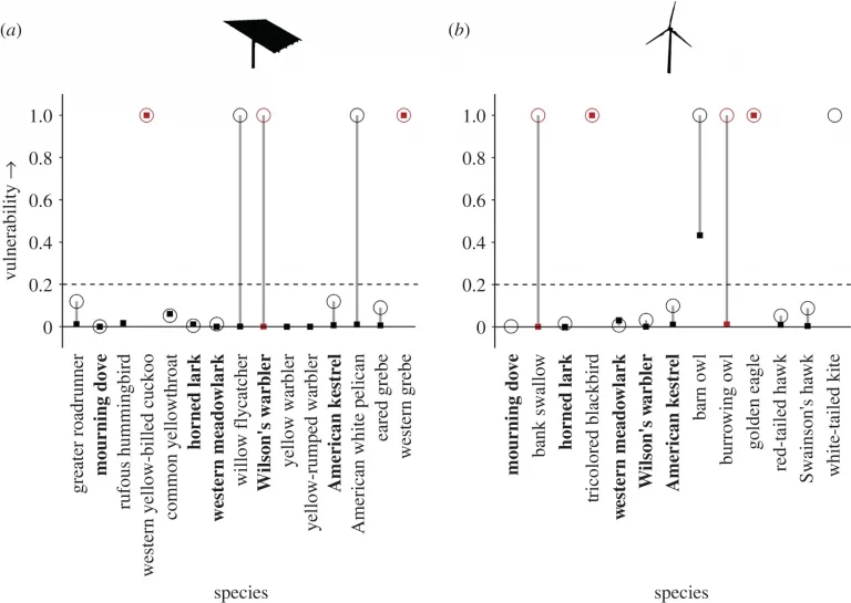 Researchers Reveal Bird Population Declines in California Due to Green Energy Resources