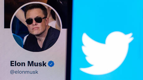 Twitter staff worried about ‘transphobe’ Musk – Insider